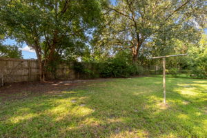 Back Yard