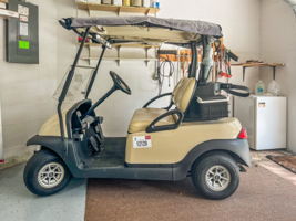 Golf Cart - IMG_3343