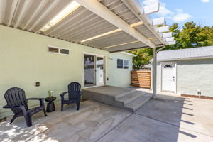backyard 3