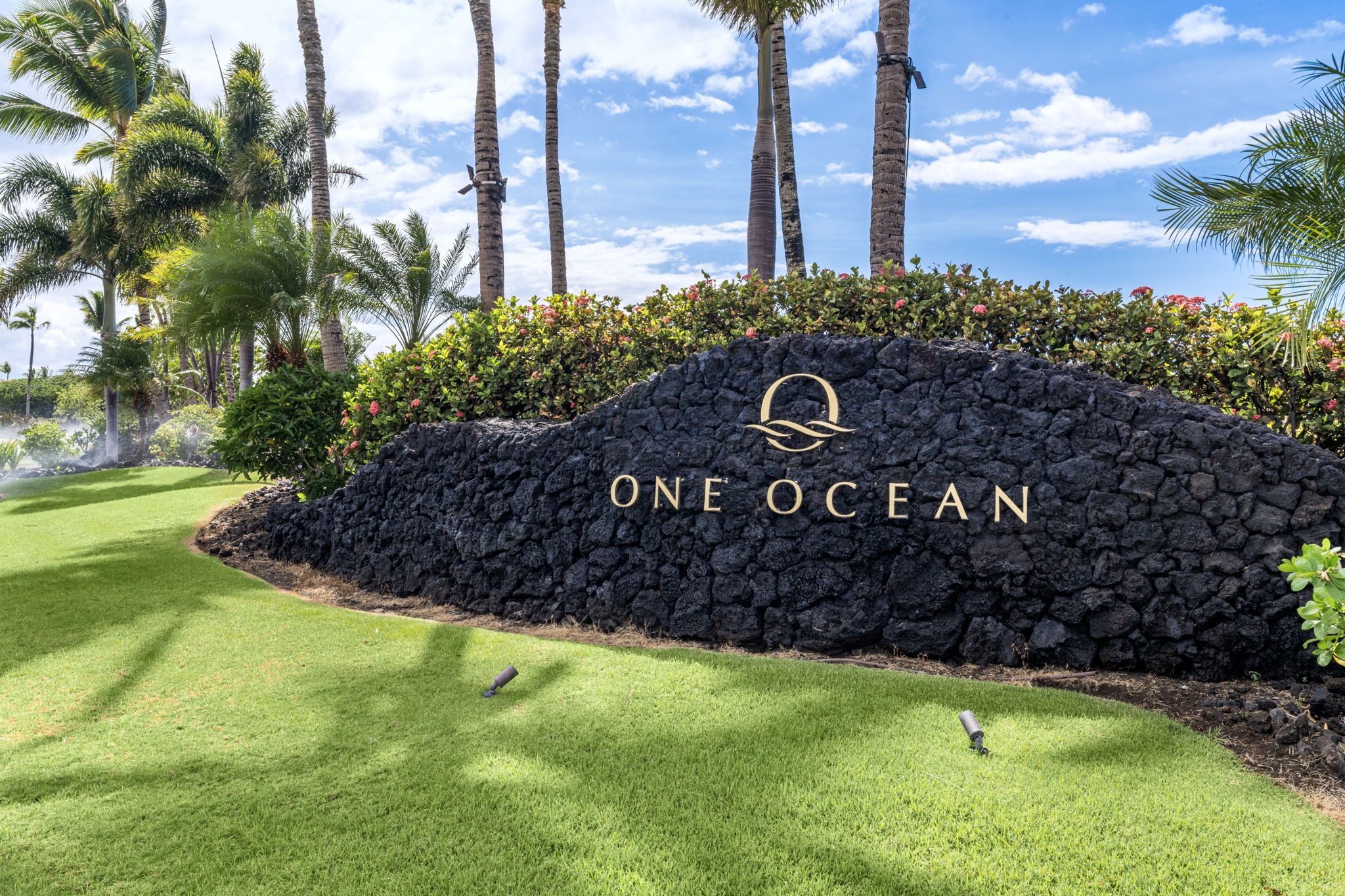 One Ocean 1