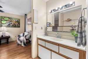 Primary Bathroom 1b