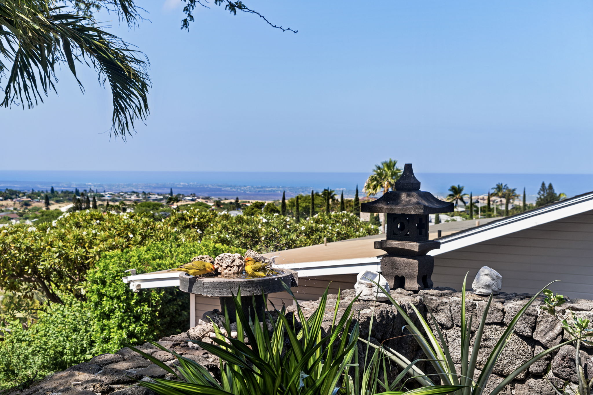 Ocean Views b