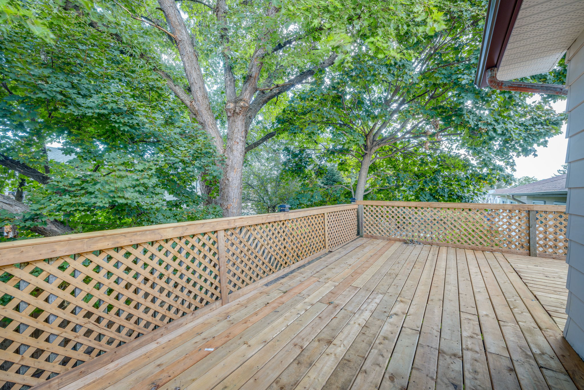 Toronto property showcase — delivered property photograph 23