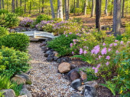 Front Landscaped with Garden Brideg