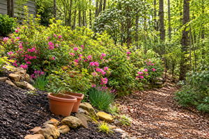 Spring on the property