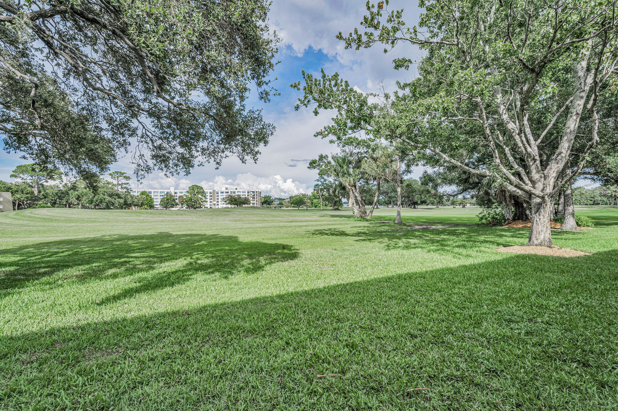 Backyard4