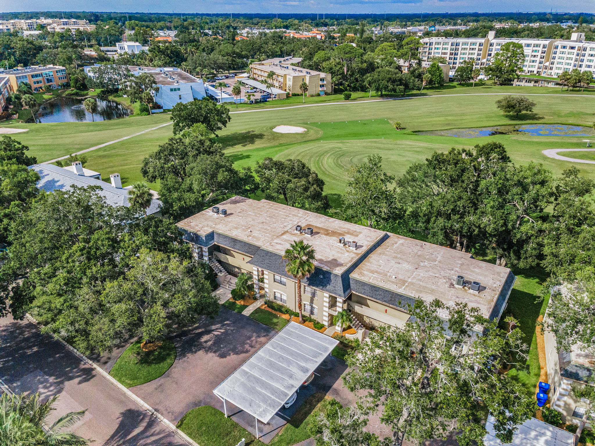Aerial (5)