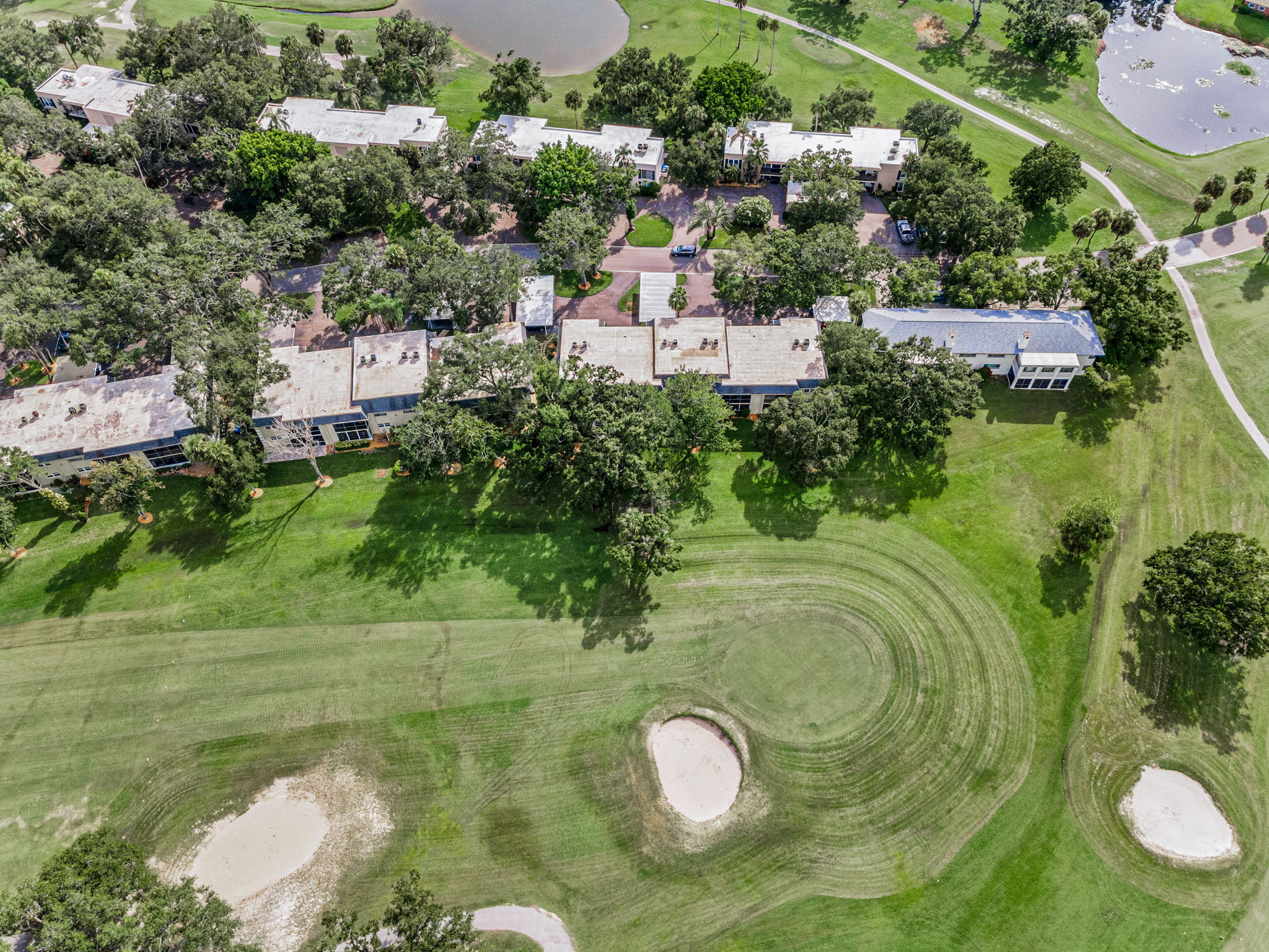 Aerial (12)