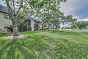 Backyard1