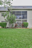 Backyard2