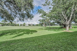 Backyard4
