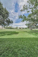 Backyard5