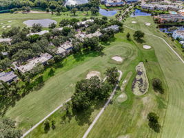 Aerial (11)