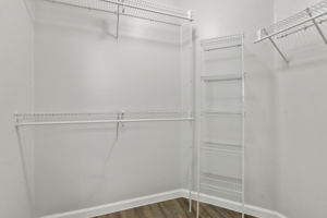 Primary Bedroom Closet