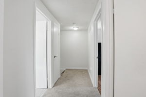  Photo 39