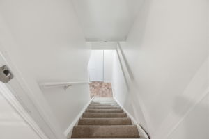  Photo 51