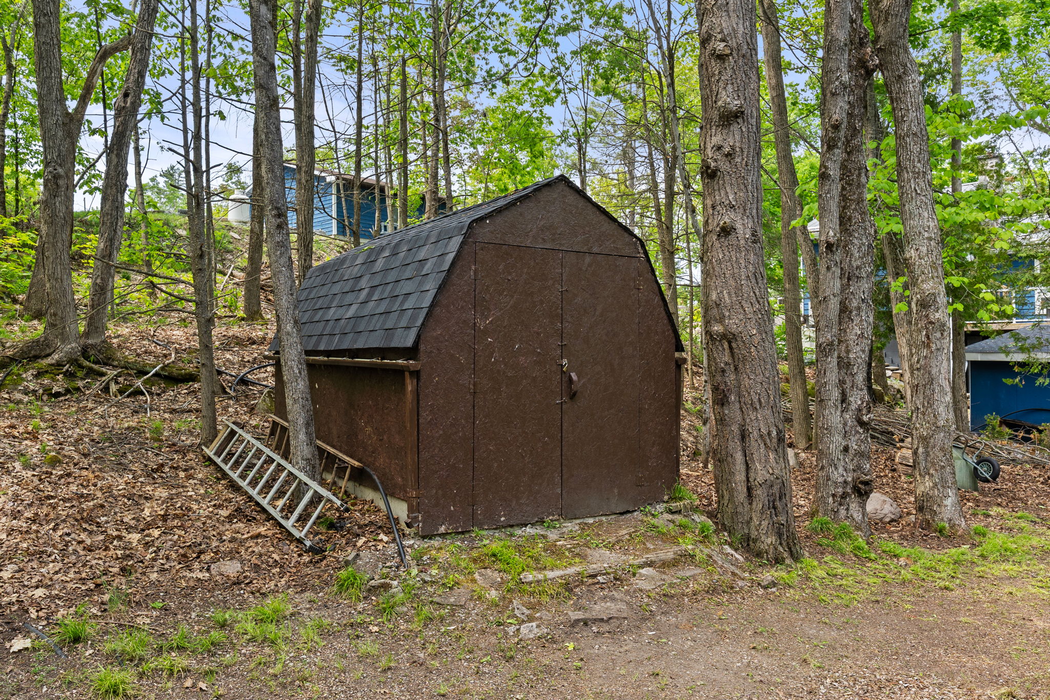 Photo 16