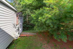  Photo 31