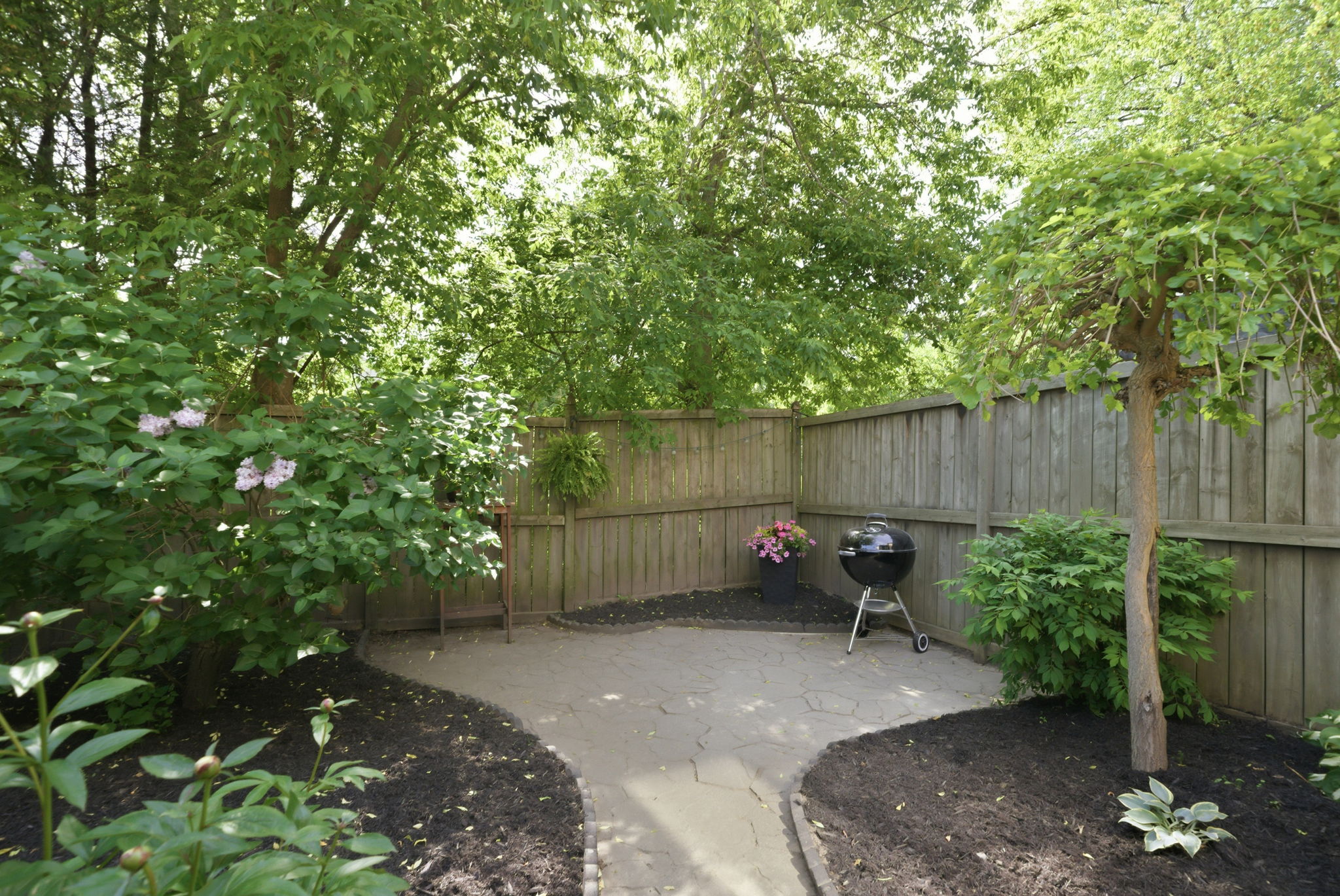  Photo 32