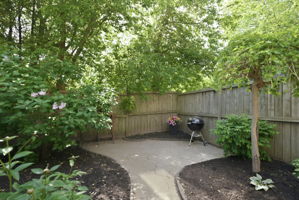  Photo 31