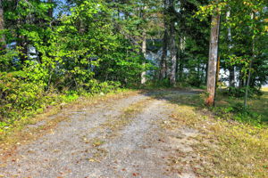  Photo 35