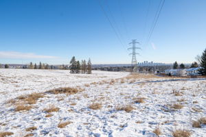  Photo 50
