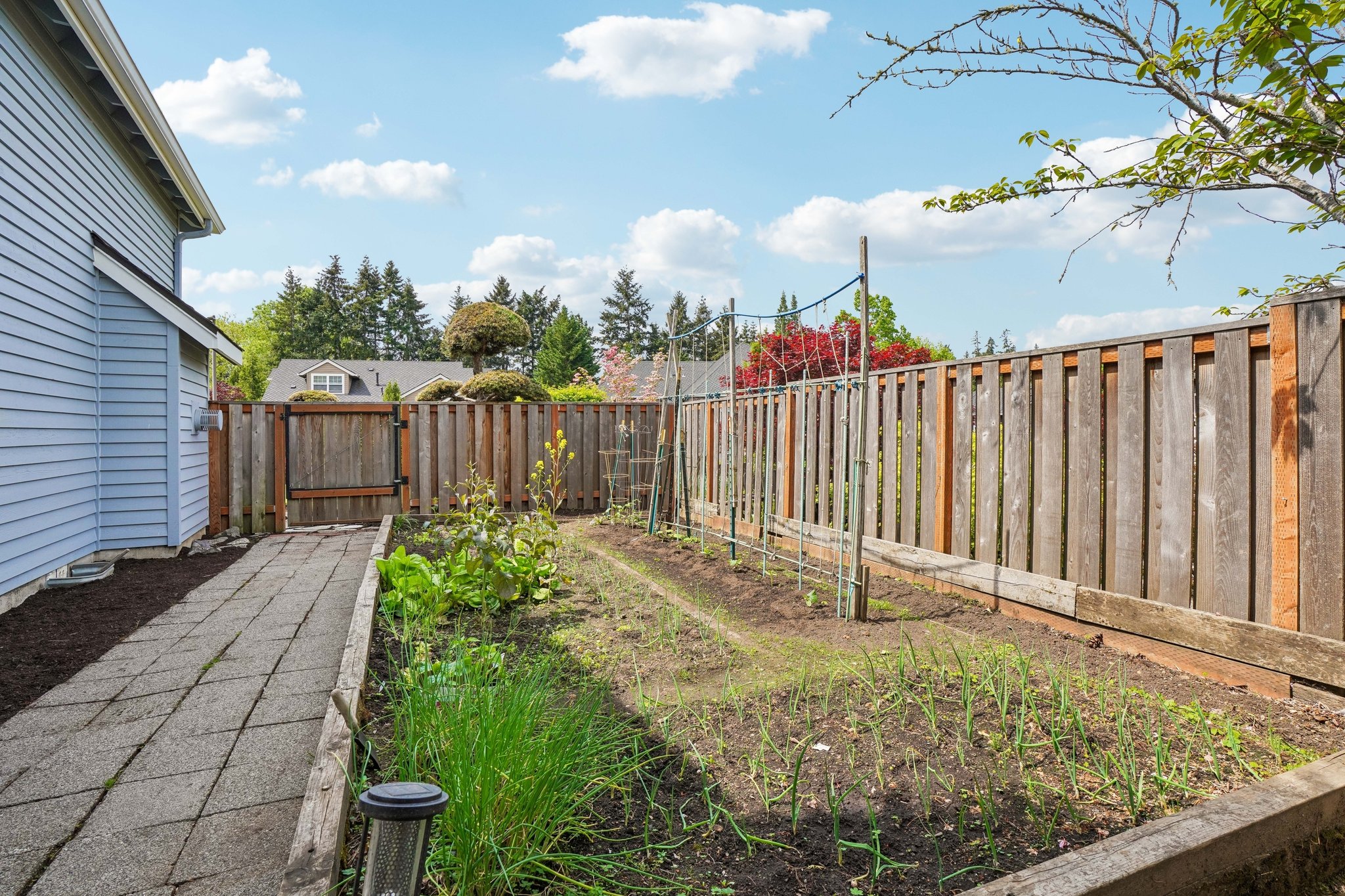 NW 167th Ave-S0205-057.jpg