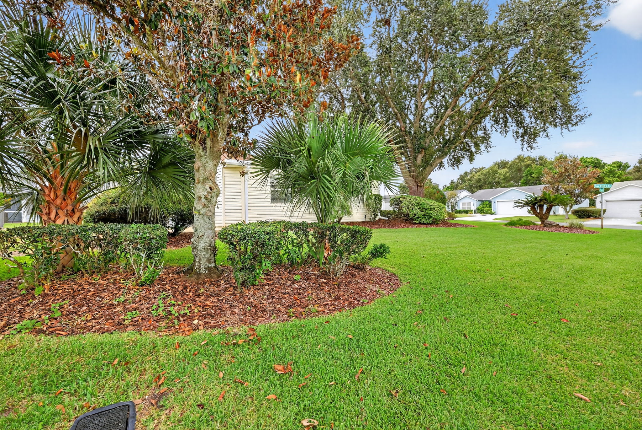 Rear/Side Yard of Large Corner Lot