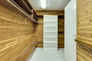  Photo 50