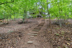 Image-51