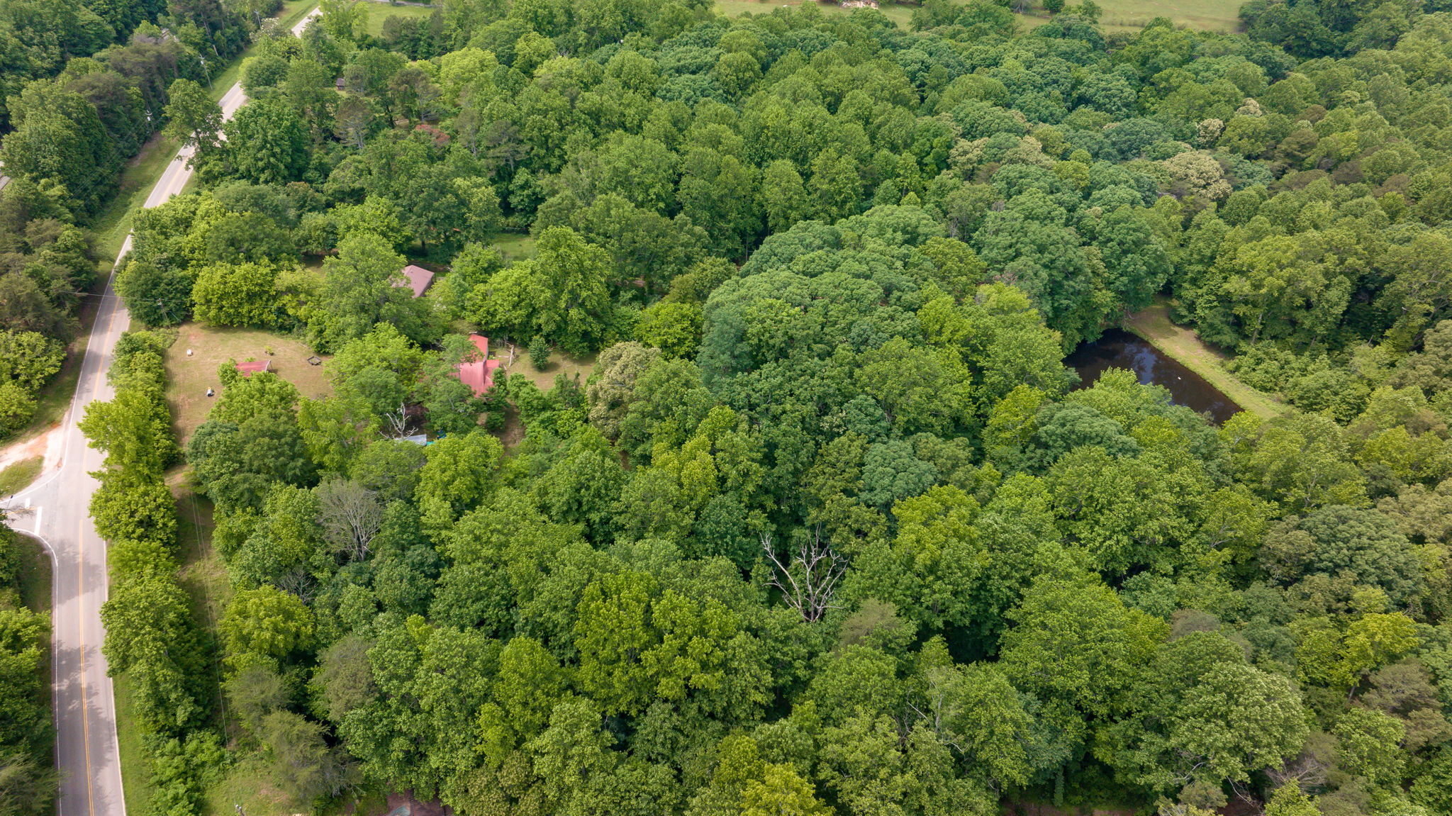 Image-8