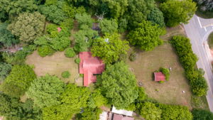 Image-4
