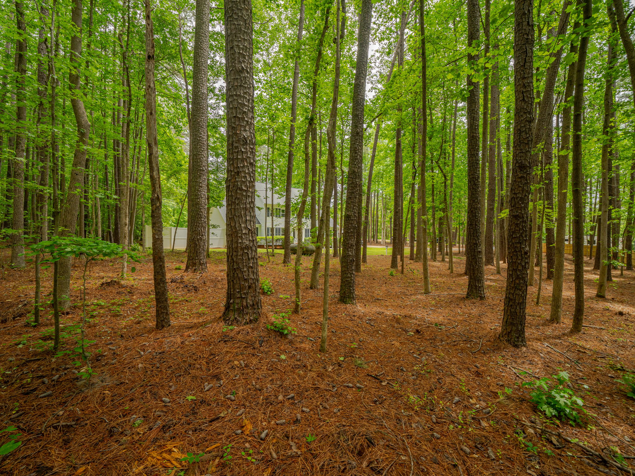 6804 NC-86, Chapel Hill, NC 27514, USA Photo 27