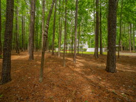 6804 NC-86, Chapel Hill, NC 27514, USA Photo 28