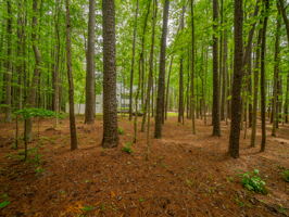 6804 NC-86, Chapel Hill, NC 27514, USA Photo 26