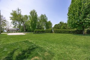  Photo 49