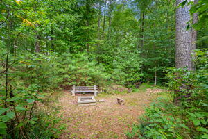  Photo 49