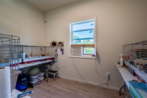  Photo 49