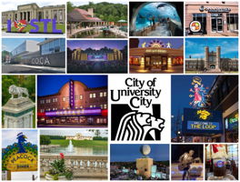 Within 5 minutes of all of these St. Louis and U City gems!