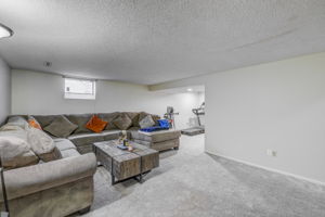 Finished Basement