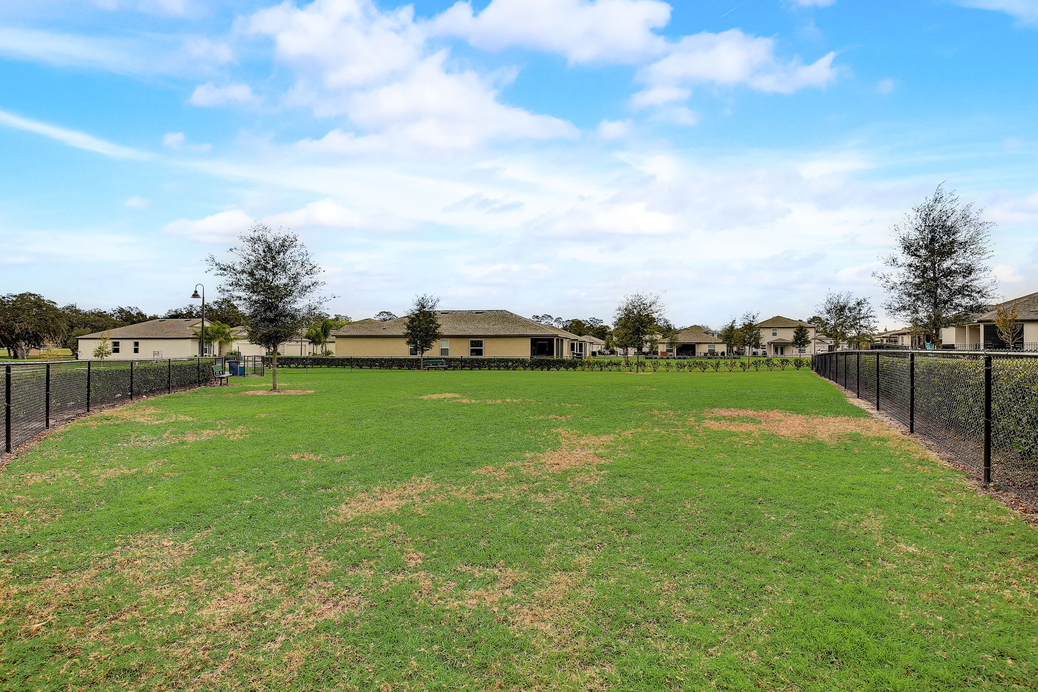 Shelby Lynn Way-036