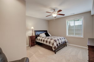 Lower Level - Bedroom