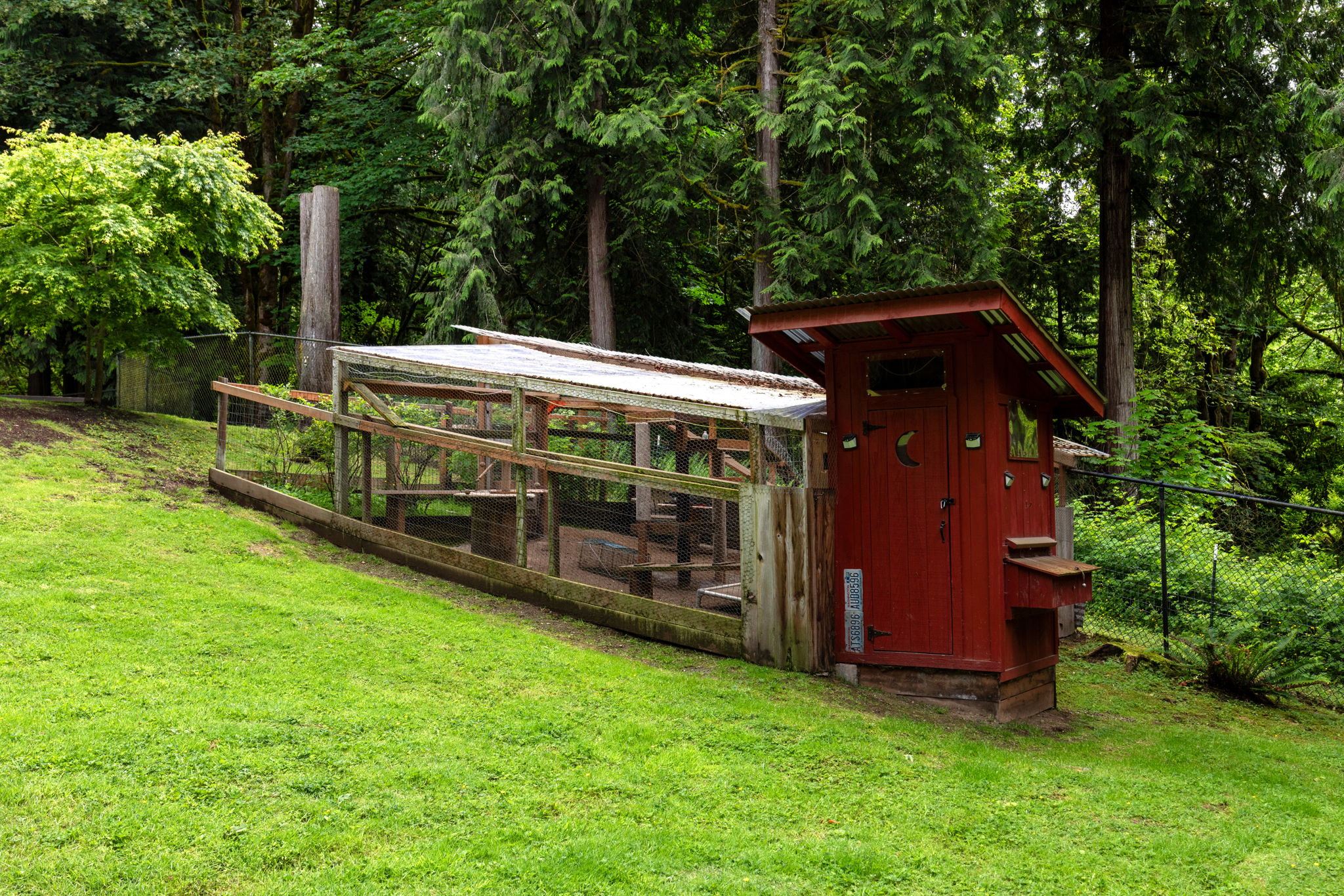  Photo 41