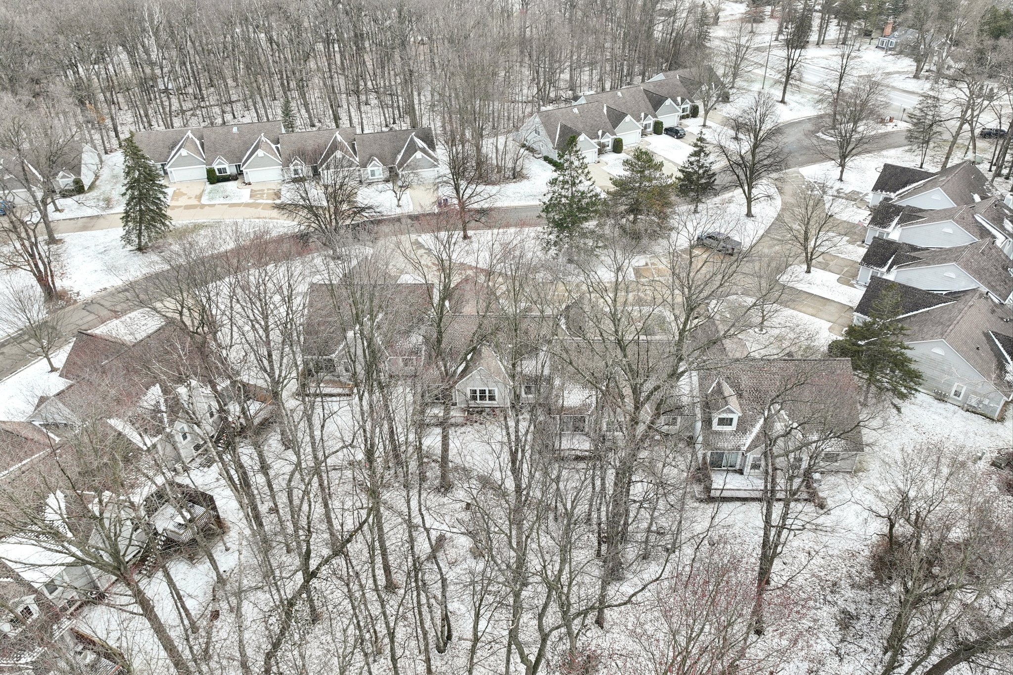 Fox Ln-S1803-007.jpg