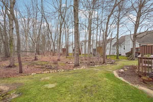 Fox Ln-S1703-028.jpg