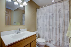 Lower Bathroom