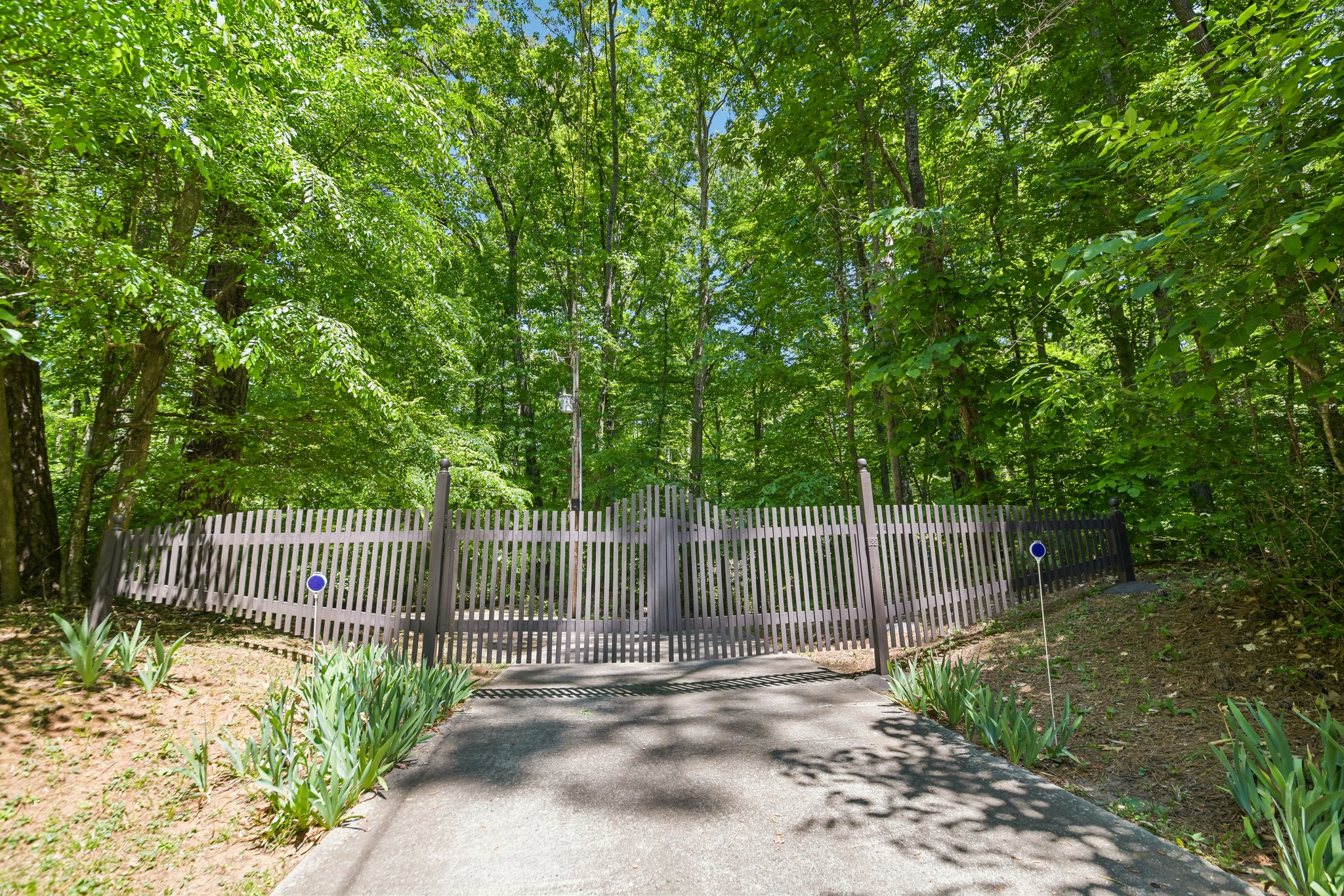 White Mill Rd-S2804-002.jpg