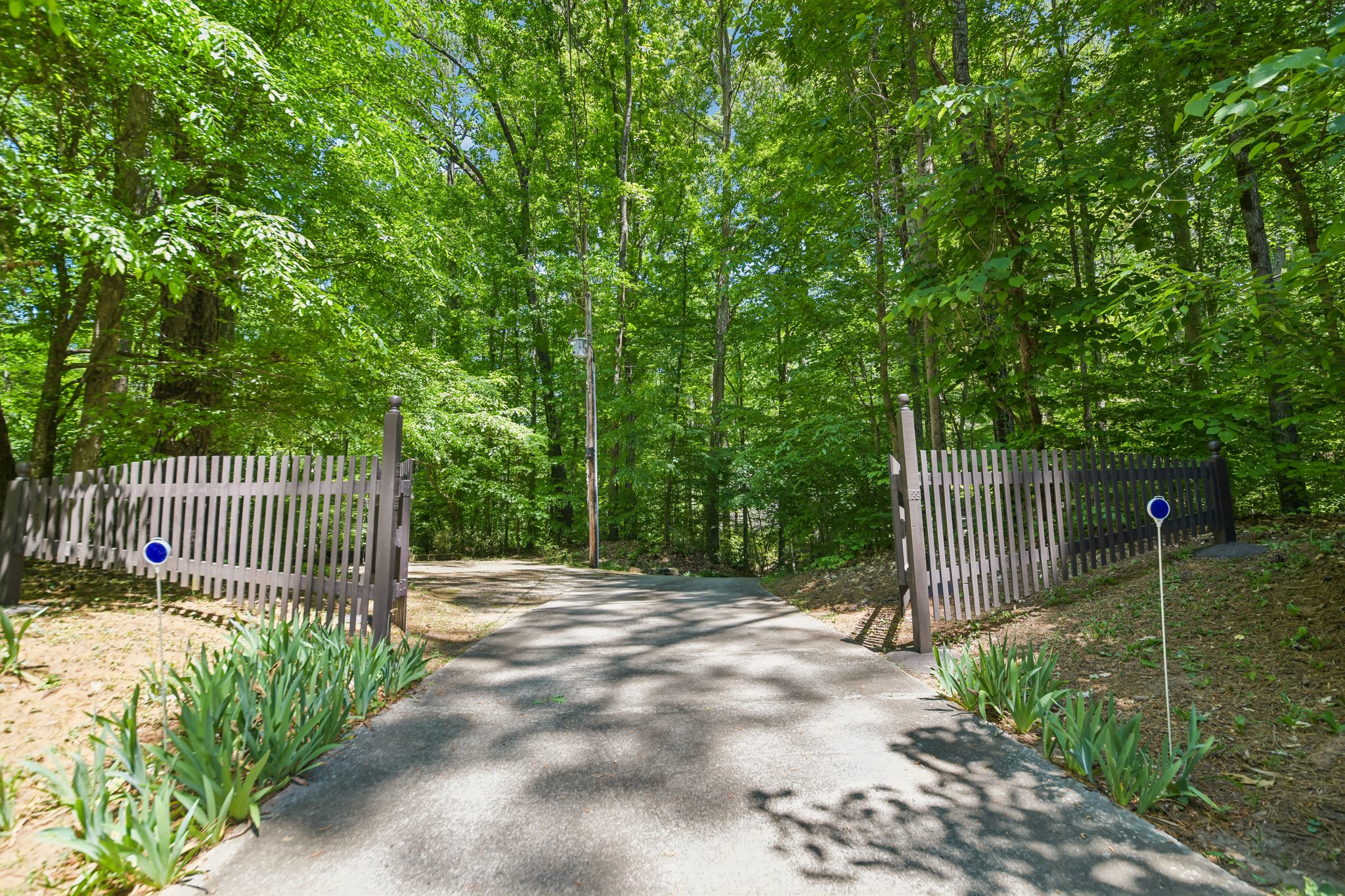 White Mill Rd-S2804-003.jpg