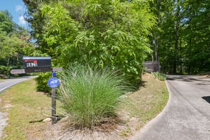 White Mill Rd-S2804-001.jpg