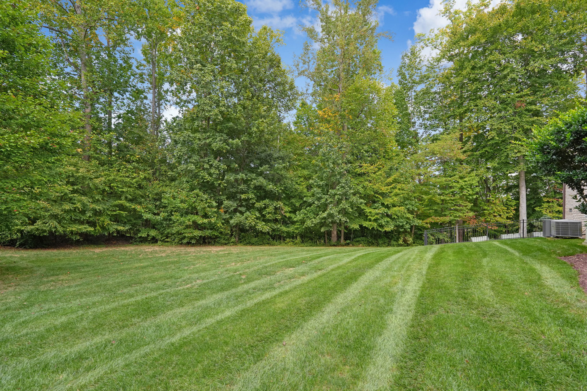 Side Yard